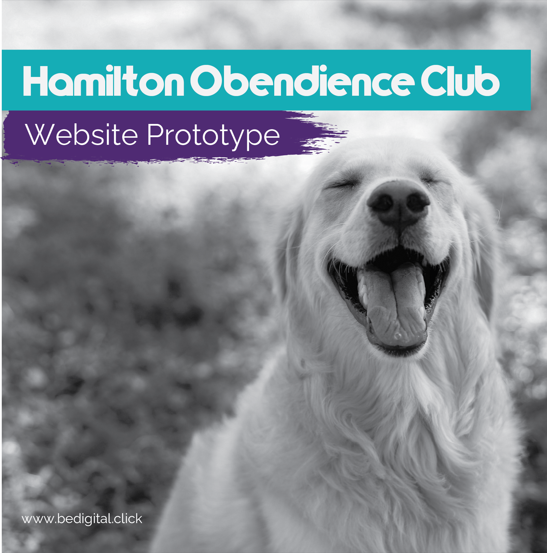 Hamilton Obendience Club Prototype